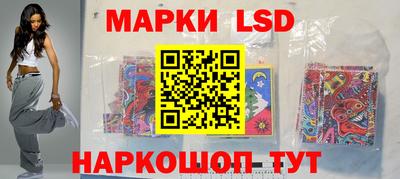 шишки Кингисепп
