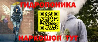 шишки Кингисепп