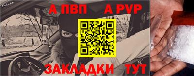 шишки Кингисепп