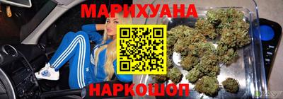 шишки Кингисепп