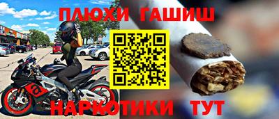 шишки Кингисепп